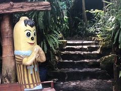 -绿光森林餐厅
