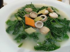 浓汤桑叶-广东道至正餐厅(区庄店)