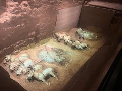 -秦始皇帝陵博物院-丽山园