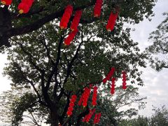 -荔湾湖公园