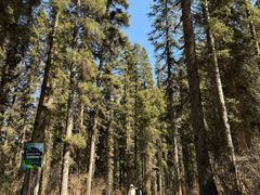 -白马王朗自然风景区