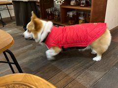 -肥朵食堂(带梦胡同店)