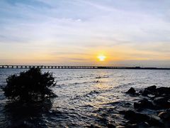 -宝安西湾红树林湿地公园