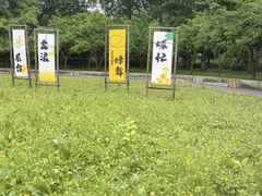 -长春公园(普阳街道)