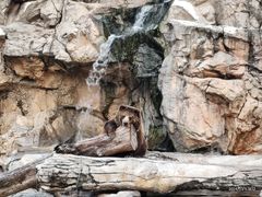 -珠海长隆海洋王国