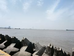 -上海滨江森林公园