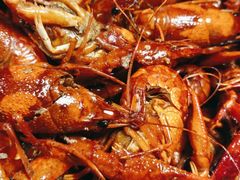 -霸王虾·麻辣小龙虾(清水河公园店)