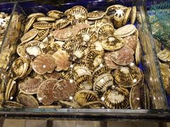 -高佳庄·舟山海鲜(海景旗舰店)