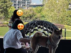 -SAANCI山池咖啡(海上世界文化艺术中心店)