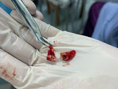 -北京中西医结合医院