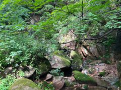 -三块石国家森林公园