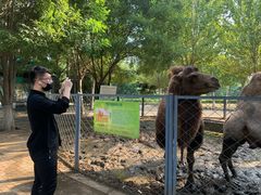 -长白岛森林公园