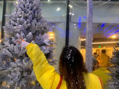 -世界之窗阿尔卑斯冰雪世界