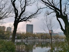 -青城公园