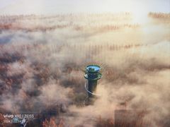 -黄海国家森林公园