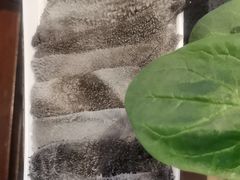 -唇辣号重庆老火锅(燕郊鑫乐汇店)