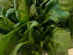 -百草滩羊清水涮羊肉·清真·宁夏盐池滩羊(莲花桥店)
