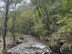 -玉渡山自然风景区