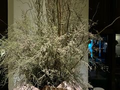 -瓦库茶馆17号(海汇港店)