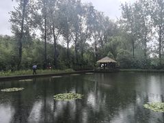 -溱湖国家湿地公园