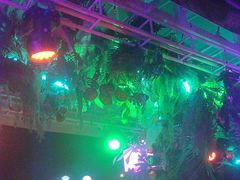 -Orangutan Bunker猩猩地堡酒吧(兰桂坊店)