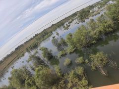 -黑河国家森林公园