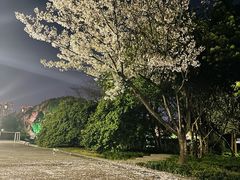 -蠡湖大桥公园