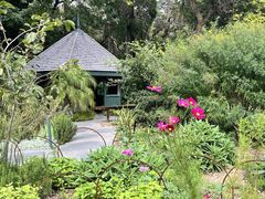 -墨尔本皇家植物园