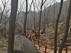 景点-大岭沟猕猴桃谷风景区