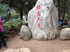 -武汉大学-樱园