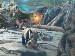-武汉动物园