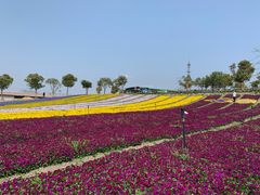 -上海杨姆庄园