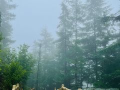 -洛阳白云山景区