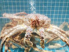 -庆赫隆融合菜馆(群力店)