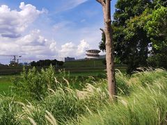 -光明小镇欢乐田园