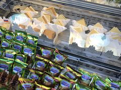 -沃洛格达(万象城n次方店)