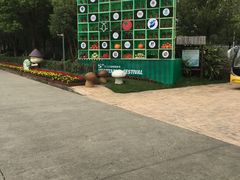 -上海都市菜园