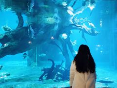 -华夏文旅海洋公园