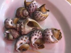 -阳江餐厅·30年老字号·粤菜海鲜大排档
