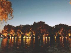 -天鹅湖体育公园
