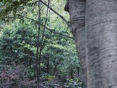 -成都市活水公园
