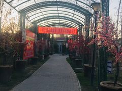 -老磨油饼(高陵店)