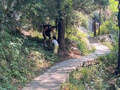 -秦岭终南山世界地质公园翠华山景区