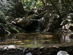 -青峰峡国家森林公园