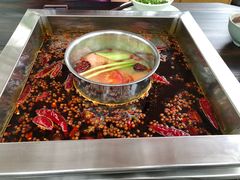 -二荆条·蜀鲜汇城市森林火锅