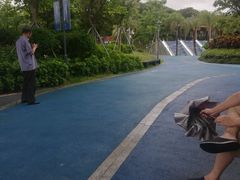 -宝安西湾红树林湿地公园