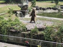 -宁波野生动物园