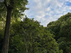 -新虹桥中心花园