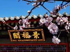 -颐和园