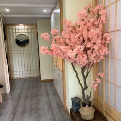-茉秀必瘦站